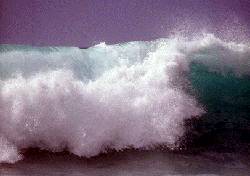 Včera zasáhla pobřeží Jávy vlna tsunami, která si vyžádala zatím na 340 obětí, dalších 160 lidí se pohřešuje. 