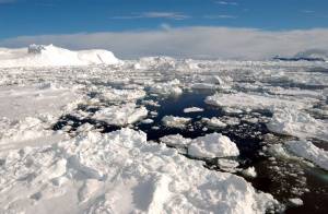 Letošní srpen byl pro led u severního pólu doslova zlomový.