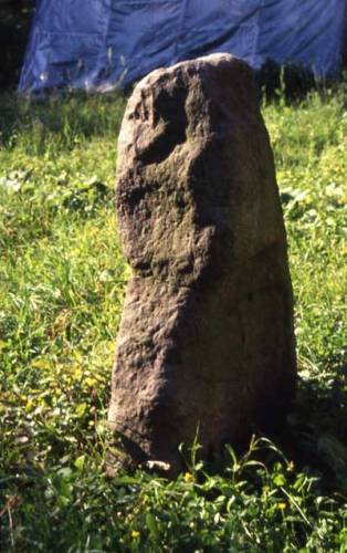 Na území České republiky stojí desítky velkých vztyčených kamenů, považovaných tradičně za pravěké megality. Je však tato víra, živená občas i přesvědčením o tajemné moci těchto kamenů, opodstatněná?