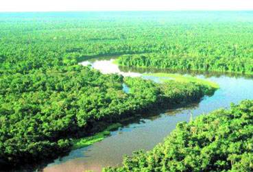 Obrátila Amazonka směr svého toku?