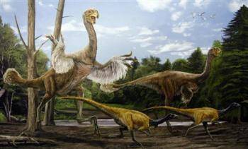 Číňané objevili nezvykle velký druh dinosaura s ptačími rysy.