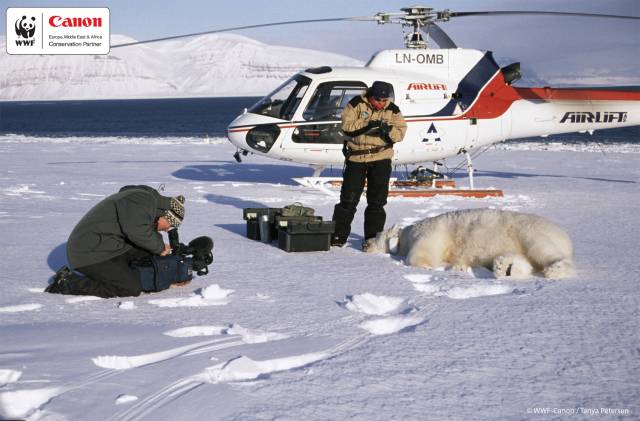 Canon Europe ve spolupráci s WWF zahajuje program na sledování populace ledních medvědů v polárních oblastech.