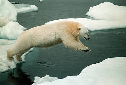 Rusko pošilhává po ropných nalezištích v Arktidě