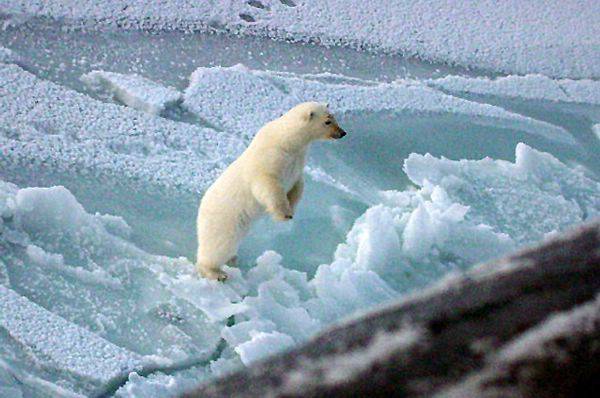 Do bitvy o přírodní zdroje, nacházející se kolem oblasti severního pólu, se vložily další státy.