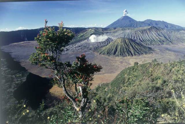 Asi nejnavštěvovanějším turistickým místem v provincii Východní Jáva na stejnojmenném indonézkém ostrově je národní park Bromo-Tengger-Semeru, vyhlášený chráněným územím v roce 1982.