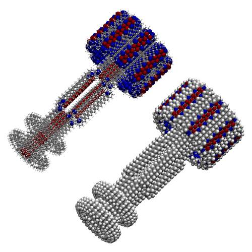 Tým chemiků z americké Nortwestern University v Evanstonu již několik let pracuje na vývoji nanovláken, která díky svým unikátním vlastnostem dokáží výrazně urychlit hojení lidských tkání.