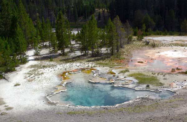 V horkých pramenech Yellowstonského národního parku v USA, objevili vědci letos v létě dosud neznámý druh bakterie, která transformuje světlo na chemickou energii. Bakterie dostala název Candidatus chloracidobacterium thermophilum.