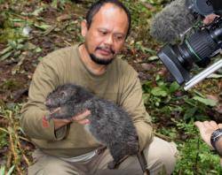 V Indonésii byly objeveny dva nové druhy savců.