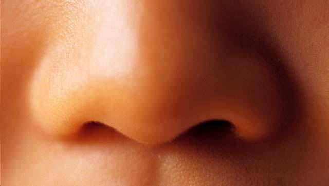 Tajemství čichu: Co o nás prozradí naše vůně?