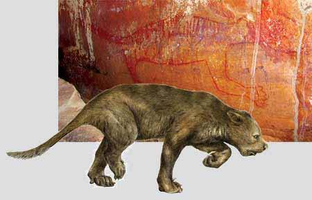 Jelikož si po svém odtržení  musela Austrálie vystačit výhradně s původními zdroji, náleží stejně jako prakticky všichni ostatní místní savci i původní místní predátoři do řádu vačnatců. Na zdi jedné z jeskyní nalezli nedávno archeologové portrét dávno vyhynulého predátora, vačnatého lva. 