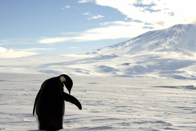 Ani sebelépe vybavená observatoř se  neobejde bez dobrých pozorovacích podmínek. Ideální místo pro hvězdárnu vědci nedávno objevili v Antarktidě.