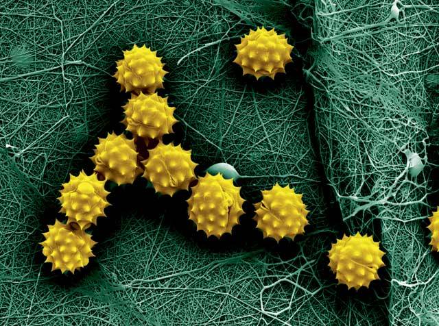 Technologie Nanospider, vyvinutá Technickou univerzitou v Liberci a českou firmou Elmarco, posunula výrobu nanovláken z laboratoří do průmyslové výroby.