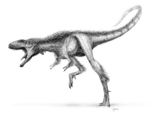 Tyranosaurus rex, jehož fosílie nacházíme ve vrstvách svrchní křídy Severní Ameriky, patřil bezesporu mezi největší predátory, jaké kdy Země poznala. Nedávno byly v Číně nalezeny ostatky drobného ještěra, který nejspíše patřil mezi přímé předky tyranosaurů.