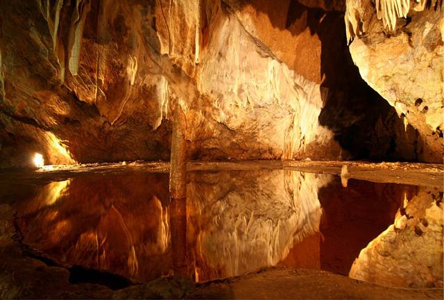 Tajemné hluboké jeskyně leckomu nahánějí hrůzu. Přitom právě tyto prostory ve skalách byly prvními obydlími našich předků. I dnes jsou plné života, přebývají zde nejroztodivnější tvorové. 