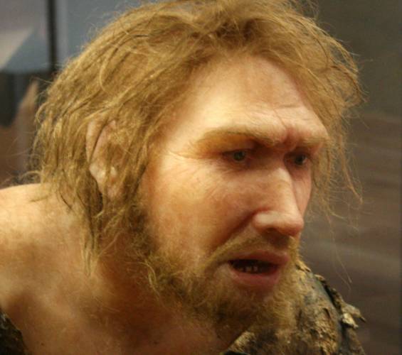 Přezdívku „neandertálec“ si snadno vyslouží neohrabaný politik či hrubiánský fotbalový fanoušek. Nedávné nálezy z jižního Španělska však ukazují, že neandertálci měli mnohem jemnější duši, než by si laik myslel. Vědci zde nalezli zbytky po pradávných „šminkách“. 