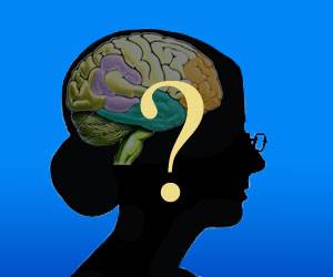 Během posledních asi 10 let ukázala řada studií, že čím déle člověk pobyl v některém ze vzdělávacích ústavů, tím hůře si na něj došlápne degenerativní onemocnění mozku – demence. Vědci z britské Cambridge nedávno zjistili proč. 