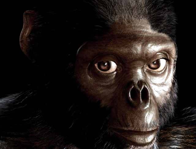 Rozruch vzbuzují závěry výzkumu částečně dochované kostry nejstaršího předchůdce člověka. Má jím být 4,4 milionu let starý hominid, kterému archeologové říkají Ardi.
