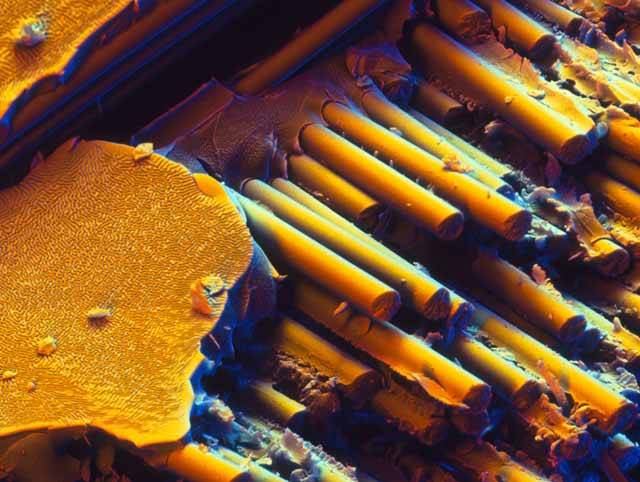 Skleněná vlákna pod elektronovým mikroskopem