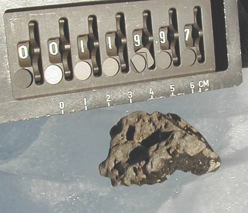 Komety a asteroidy jsou mezi vědci dlouho považovány za kandidáty ne-li přímo na původce, pak alespoň na vážné přispěvatele k vybujení života na Zemi. Nedávno publikovaná analýza jednoho z antarktických meteoritů ukázala, že on i jemu podobní mohli být zdrojem látky důležité pro zrod života – amoniaku. 