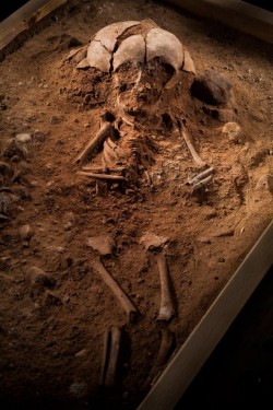 Na severu Německa odkryto unikátní pohřebiště