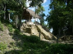 Prales v Guatemale odhalil mayské stavby