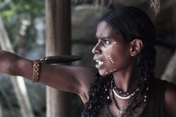 Všechny jazyky australských domorodců vycházely z jediného zdroje