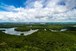 Čeští vědci na výzkumné výpravě do Amazonského pralesa