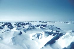 Arktida zažila druhý nejteplejší rok v historii měření