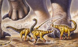 V Austrálii objevili početný vzorek stop dinosaurů. Jedná se o unikátní nález