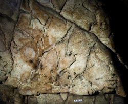 Nalezena dosud nejstarší jeskynní kresba na našem území
