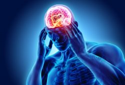 Vědci nalezli v mozku ústřední vypínač bolesti