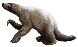 Pohádková sešlost: Američané odhalili pravěké setkání mamuta, lenochoda a lidského dítěte