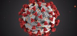 Nově vyvinutá protilátka zabírá na všechny hlavní mutace koronaviru, ověřili čeští vědci