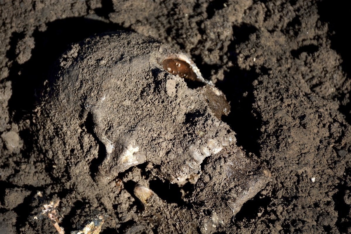 Na hradišti Tetín archeologové objevili středověký hrob ženy s tmavou pletí