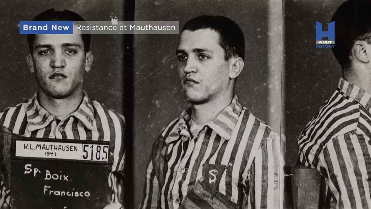 Pro holocaust existují důkazy – mimo jiné ty z Mauthausenu!