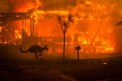 Ničivé australské požáry mají evropskou stopu