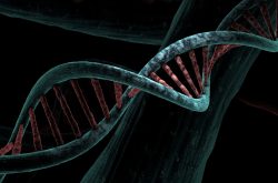 Jednoduchý test DNA by mohl odhalit běžné neurologické poruchy