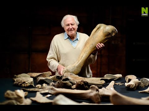 S Davidem Attenboroughem za objevem desetiletí!