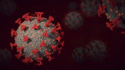Covidová Amerika: Studie odhalila, že koronavirus prodělala už polovina obyvatel Spojených států