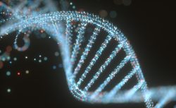 Vědci poprvé přečetli kompletní podobu lidského genomu
