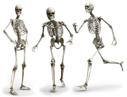 Pacienti s osteoporózou by se neměli bát pravidelně cvičit