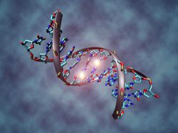 Epigenetická dědičnost: Dětem nepředáváme jen geny nebo vzorce chování…