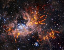 Kosmická pavučina: astronomové mapují divoký vznik hvězd v mlhovině Tarantule