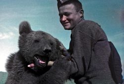 Desátník Wojtek: Medvěd v uniformě, který miloval pivo