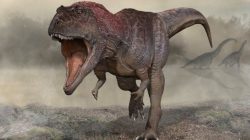 Vědci objevili dosud neznámého gigantického dravého dinosaura