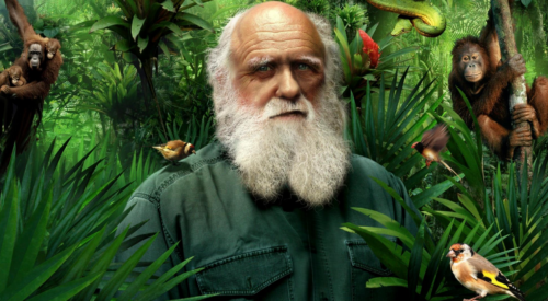 Jak Darwinova evoluční teorie rozdělila svět…