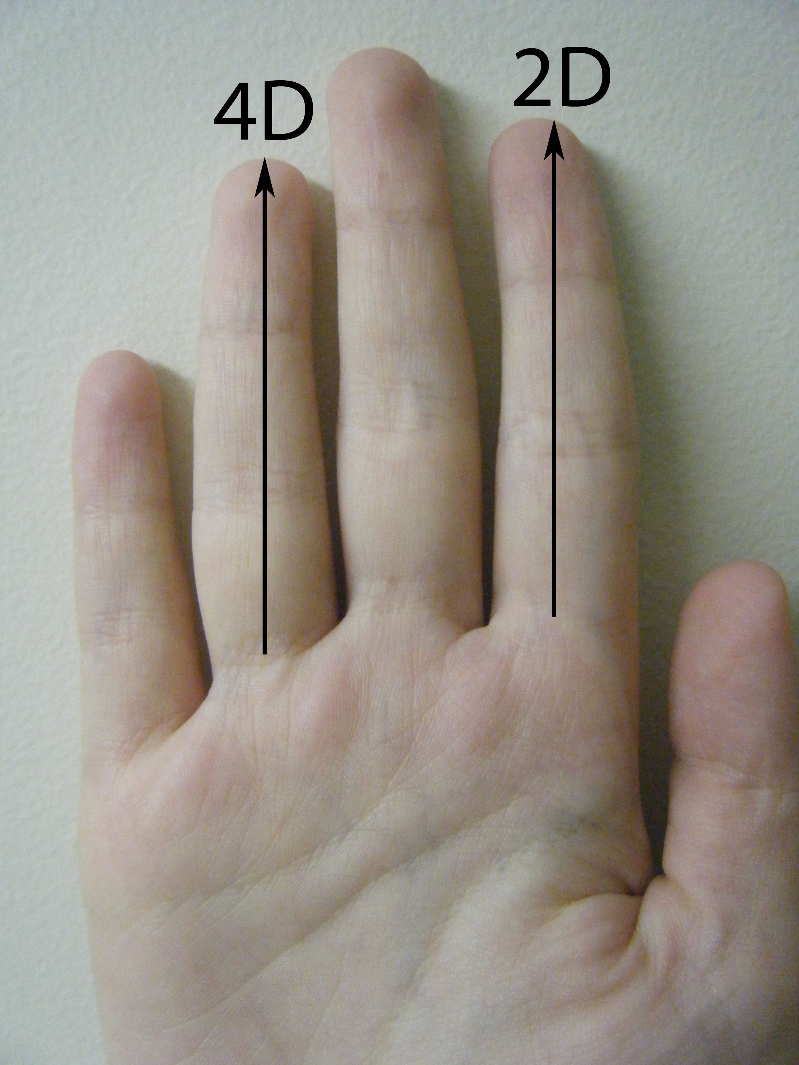 Короткие пальцы у мужчины