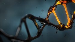 Většinu případů rakoviny způsobí chyba v překladu DNA