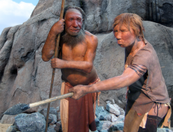 Neandertálci používali párátka