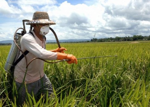 Češi zjistili, jak omezit pesticidy